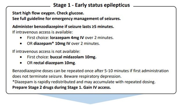 Early status epilepticus pathway