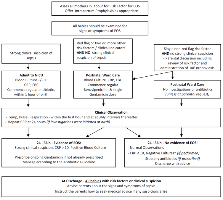 Early onset sepsis care pathway flowchart